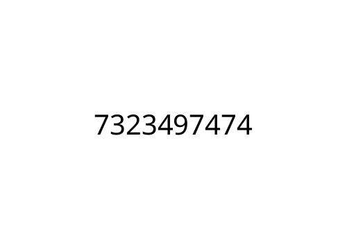 7323497474