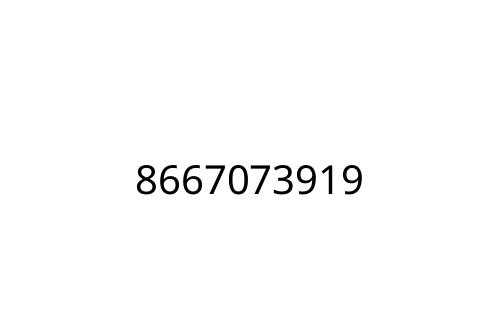 8667073919