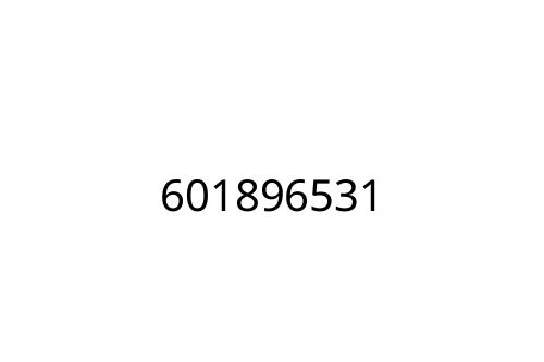 601896531