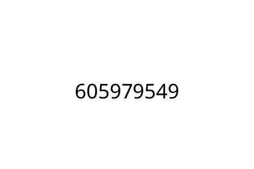 605979549