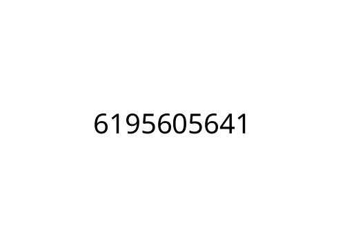 6195605641