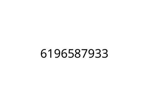 6196587933