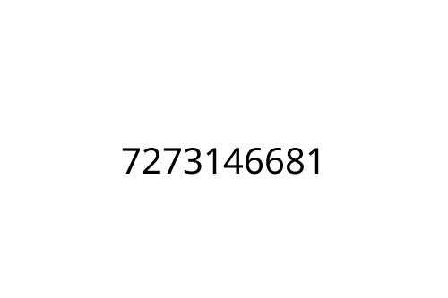 7273146681