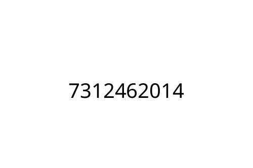 7312462014
