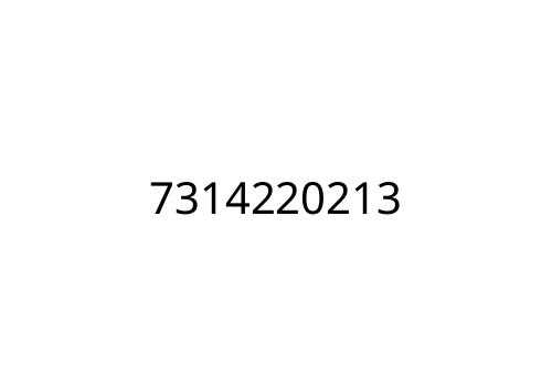 7314220213