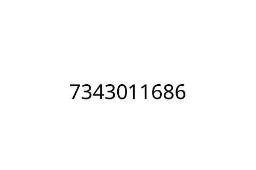 7343011686