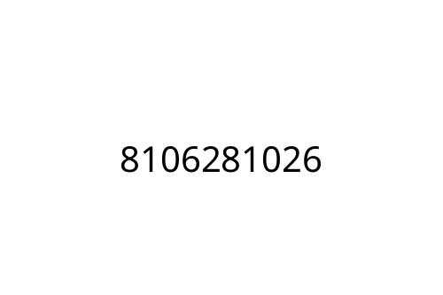 8106281026