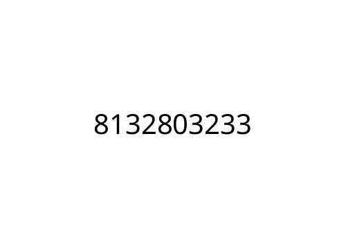 8132803233