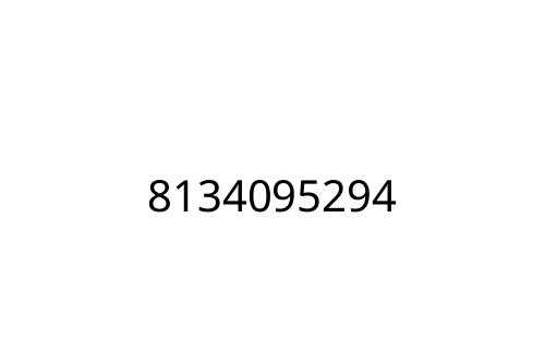 8134095294