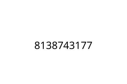 8138743177