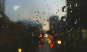 can i take food kayudapu on a plane