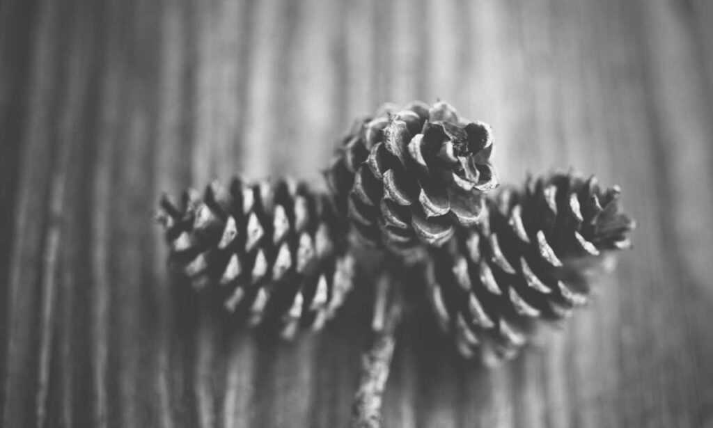 3000 dolares a pesos chilenos