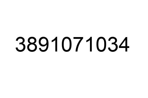 3891071034