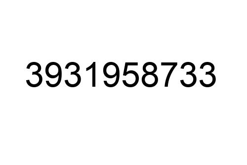 3931958733