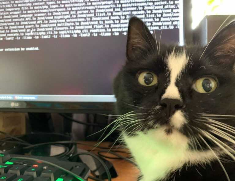 emociones personajes de intensamente para colorear