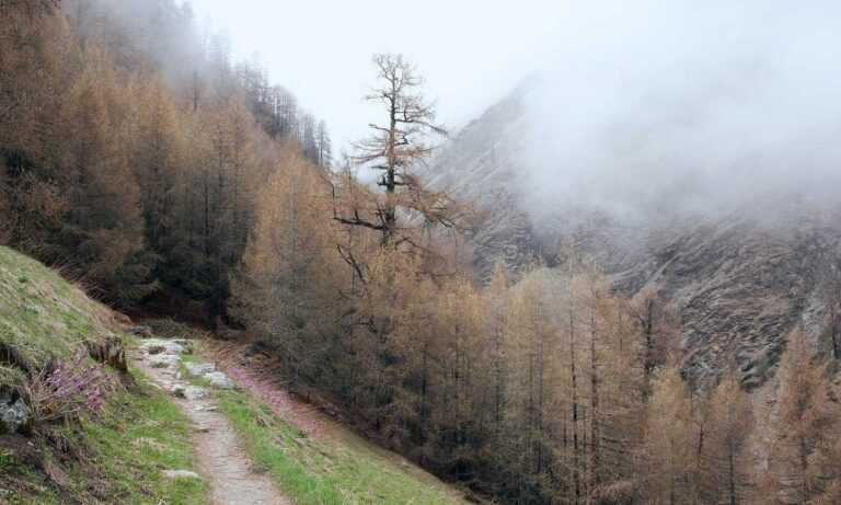 hauska syntymäpäivä gif