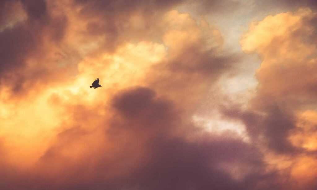 mujer cumpleaños cristianos