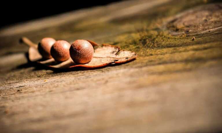 mujeres fondos para perfil de whatsapp