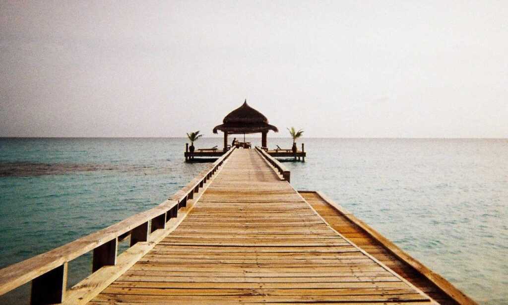 nuevo hijo alfa viejo padre omega tmo