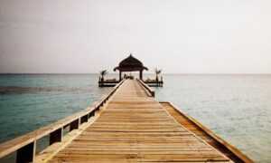 nuevo hijo alfa viejo padre omega tmo