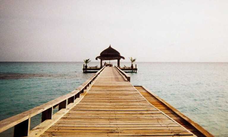 nuevo hijo alfa viejo padre omega tmo