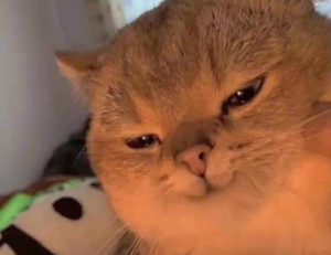 onenightfriend delete account