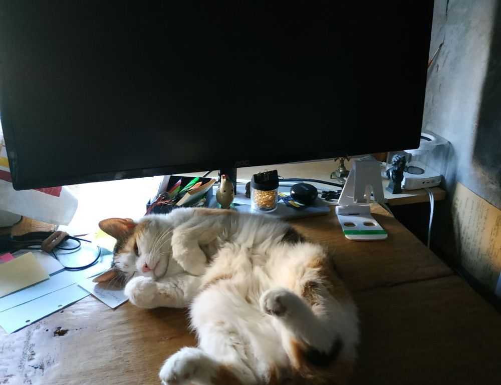 tatuaje en el medio de los senos