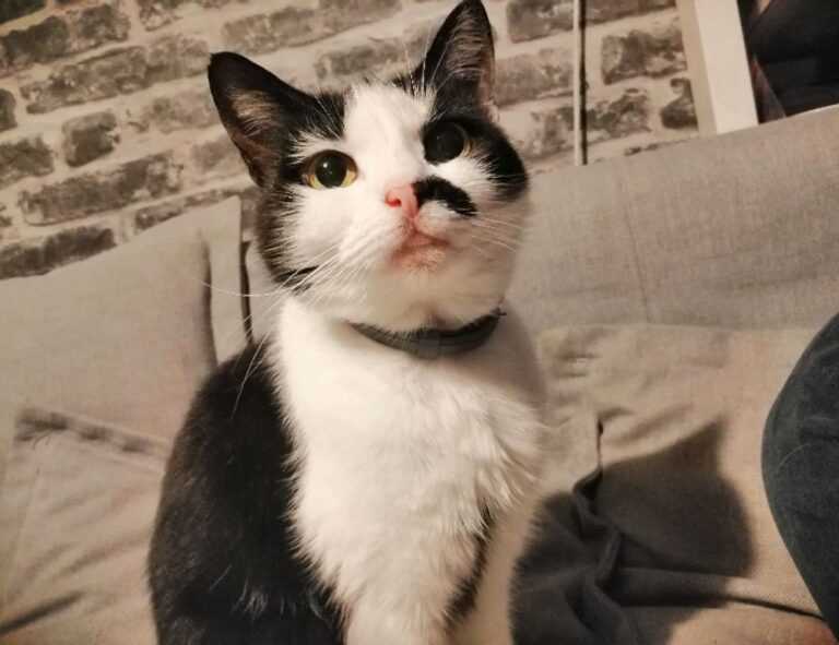 versuri de la george michael careless whispers