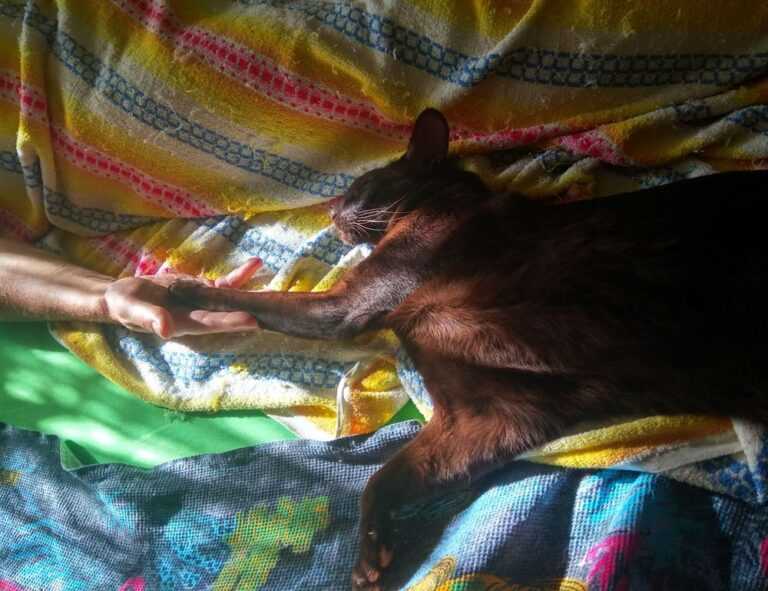 wallpaper al quran cantik