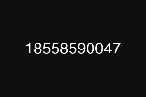 18558590047