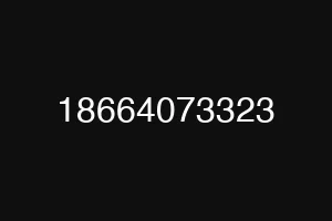 18664073323
