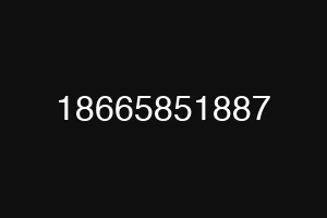 18665851887