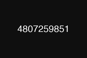 4807259851