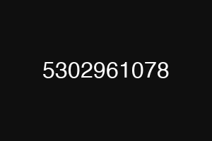 5302961078