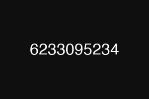 6233095234