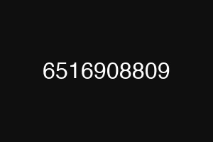 6516908809