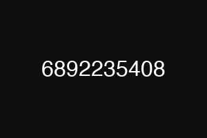 6892235408