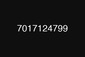 7017124799