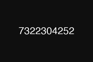 7322304252