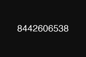 8442606538