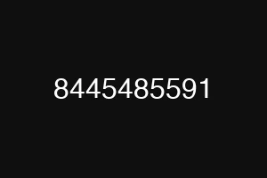 8445485591