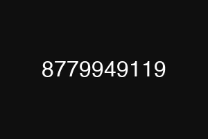 8779949119