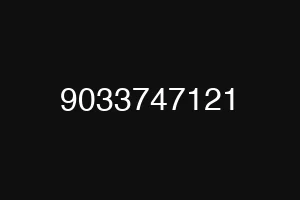 9033747121