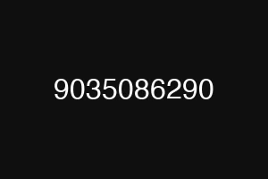 9035086290