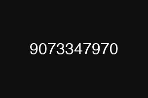 9073347970