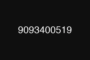 9093400519