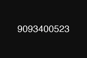 9093400523