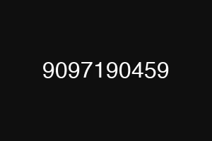 9097190459