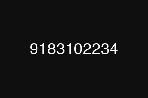 9183102234