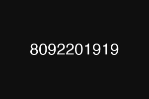 8092201919